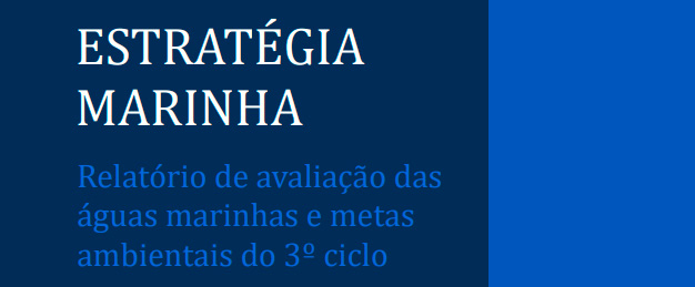 Aberto processo de consulta pública dos relatórios de avaliação das águas marinhas nacionais e metas ambientais