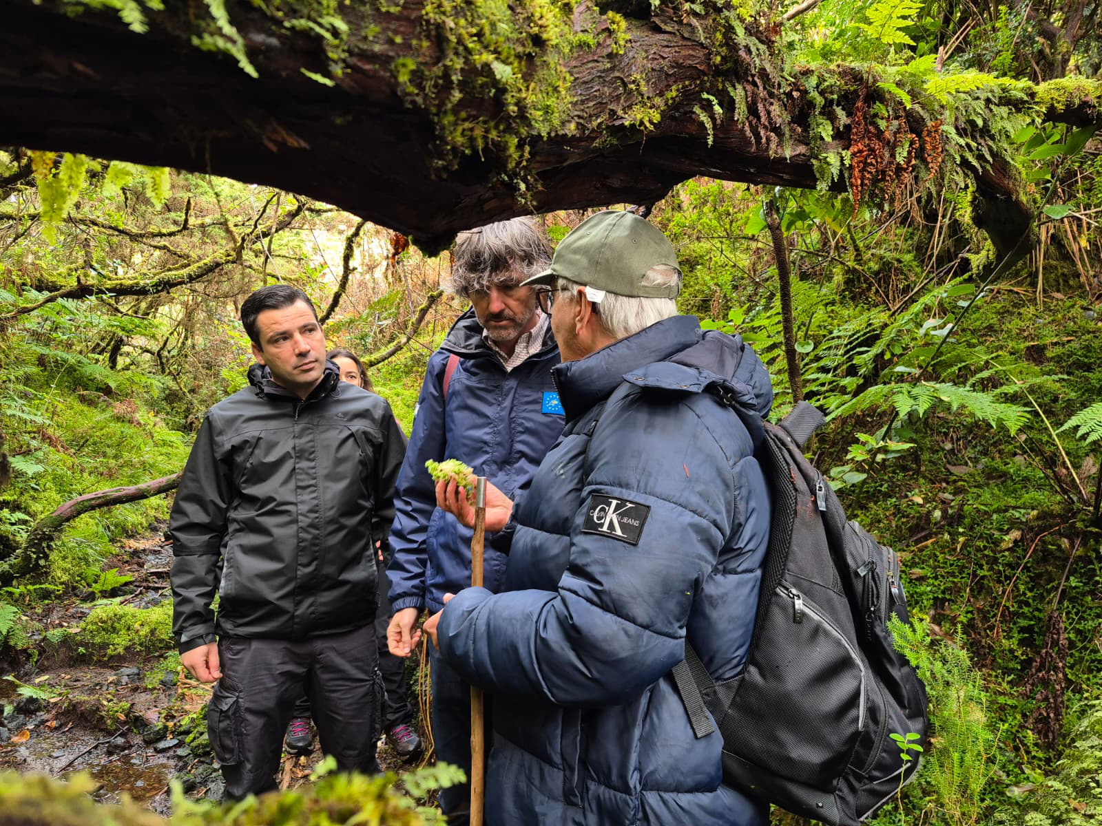 Visita às áreas de intervenção do projeto LIFE BEETLES, na Terra Brava, na ilha Terceira