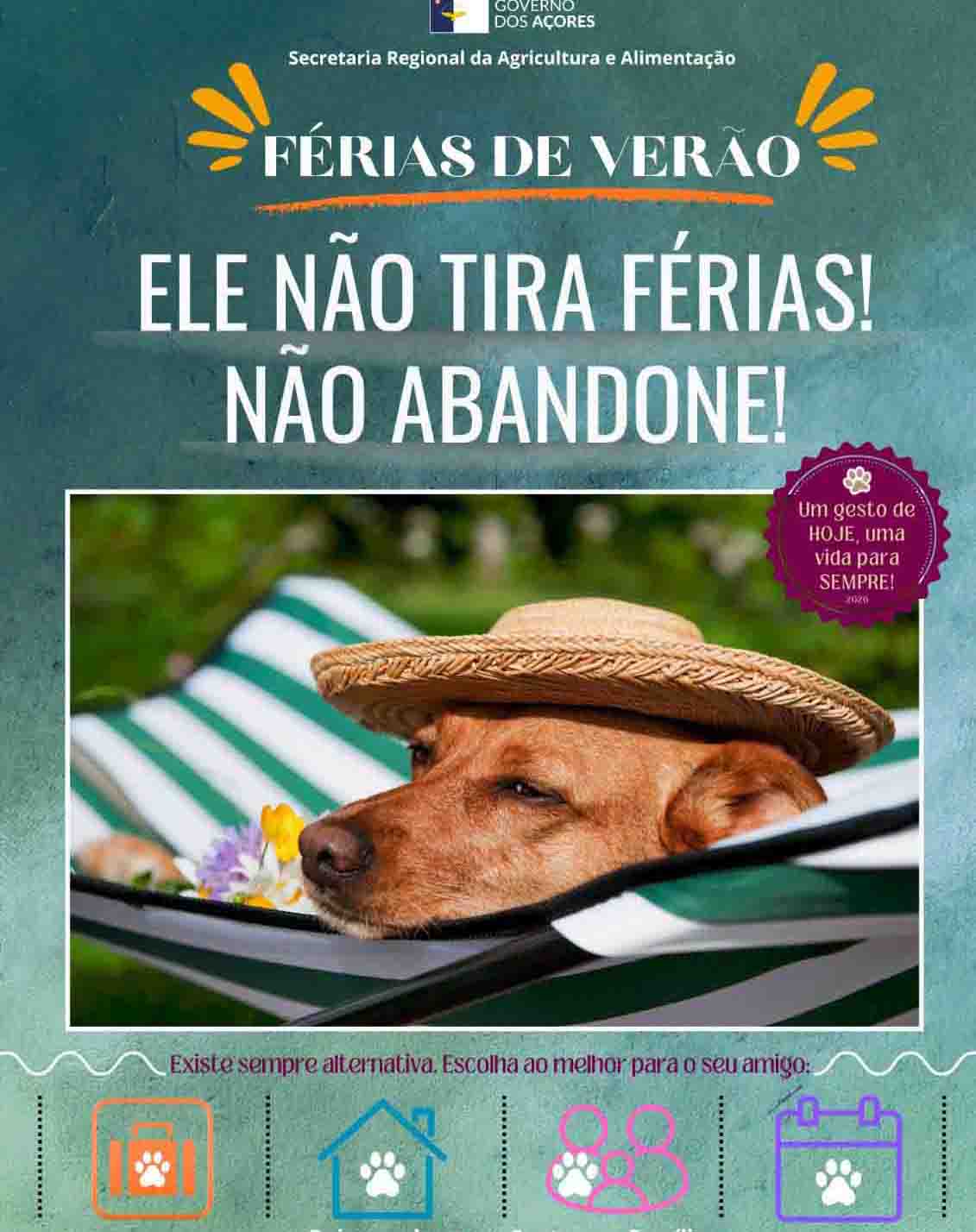 Abandono de animais