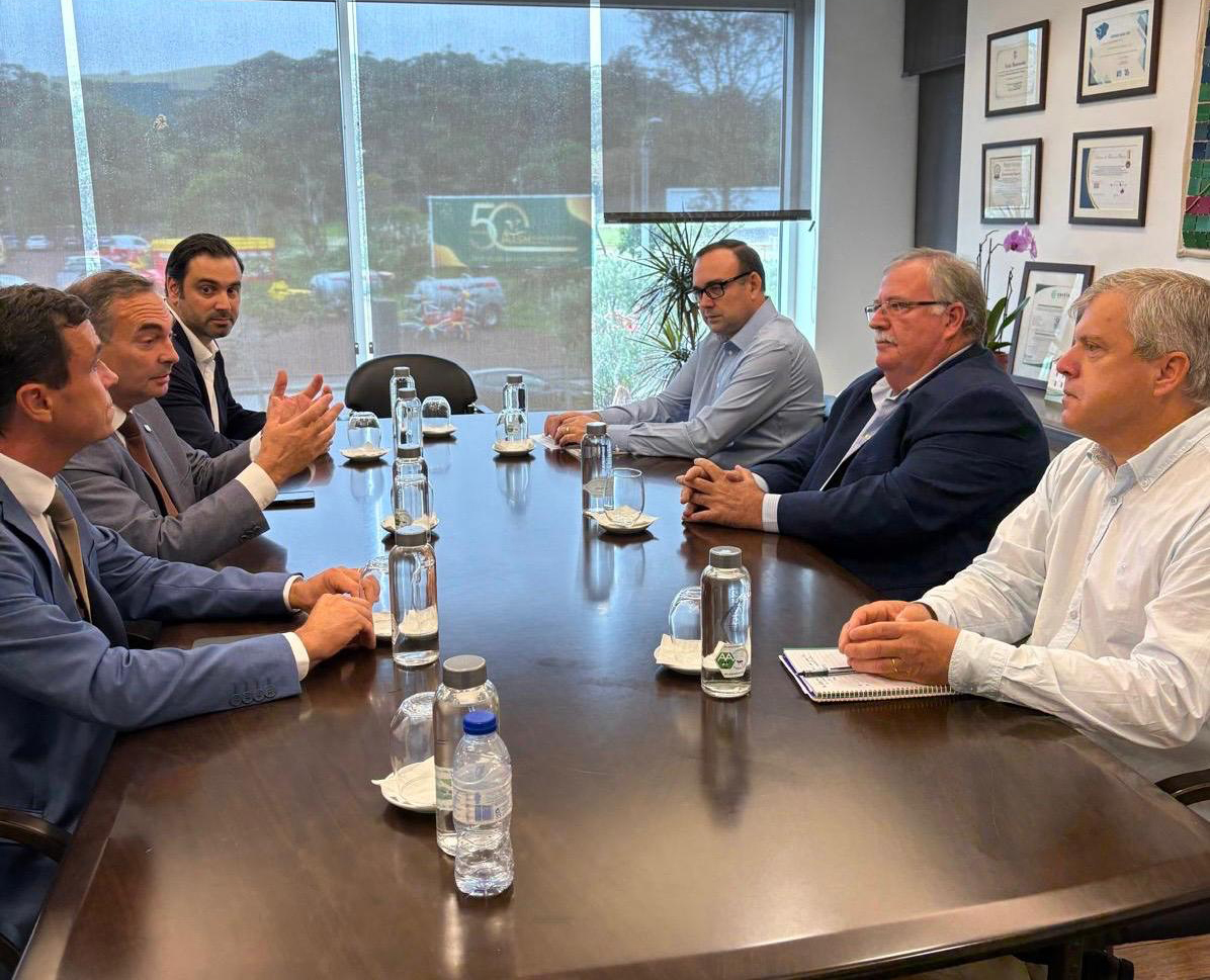 Artigo sem Imagem
