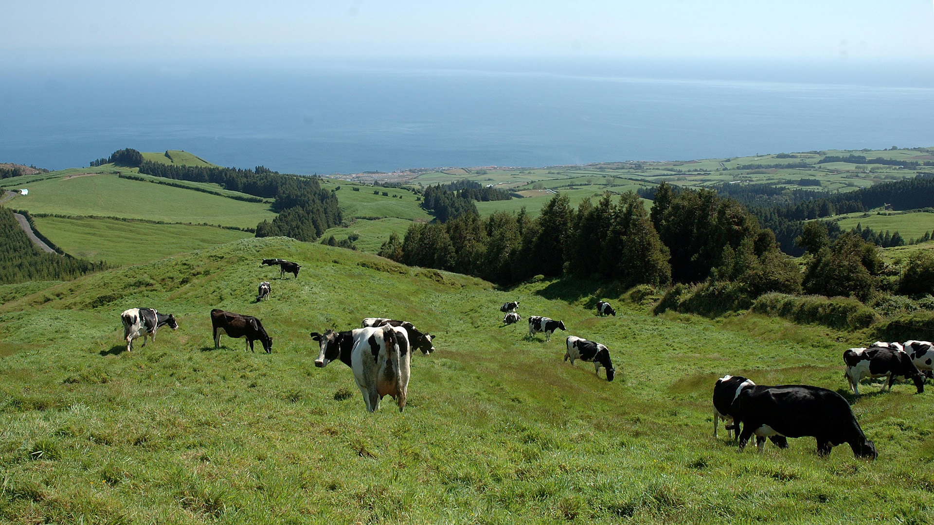 First edition of Livestock Preparation Course for Competitions ends today and involved 14 participants