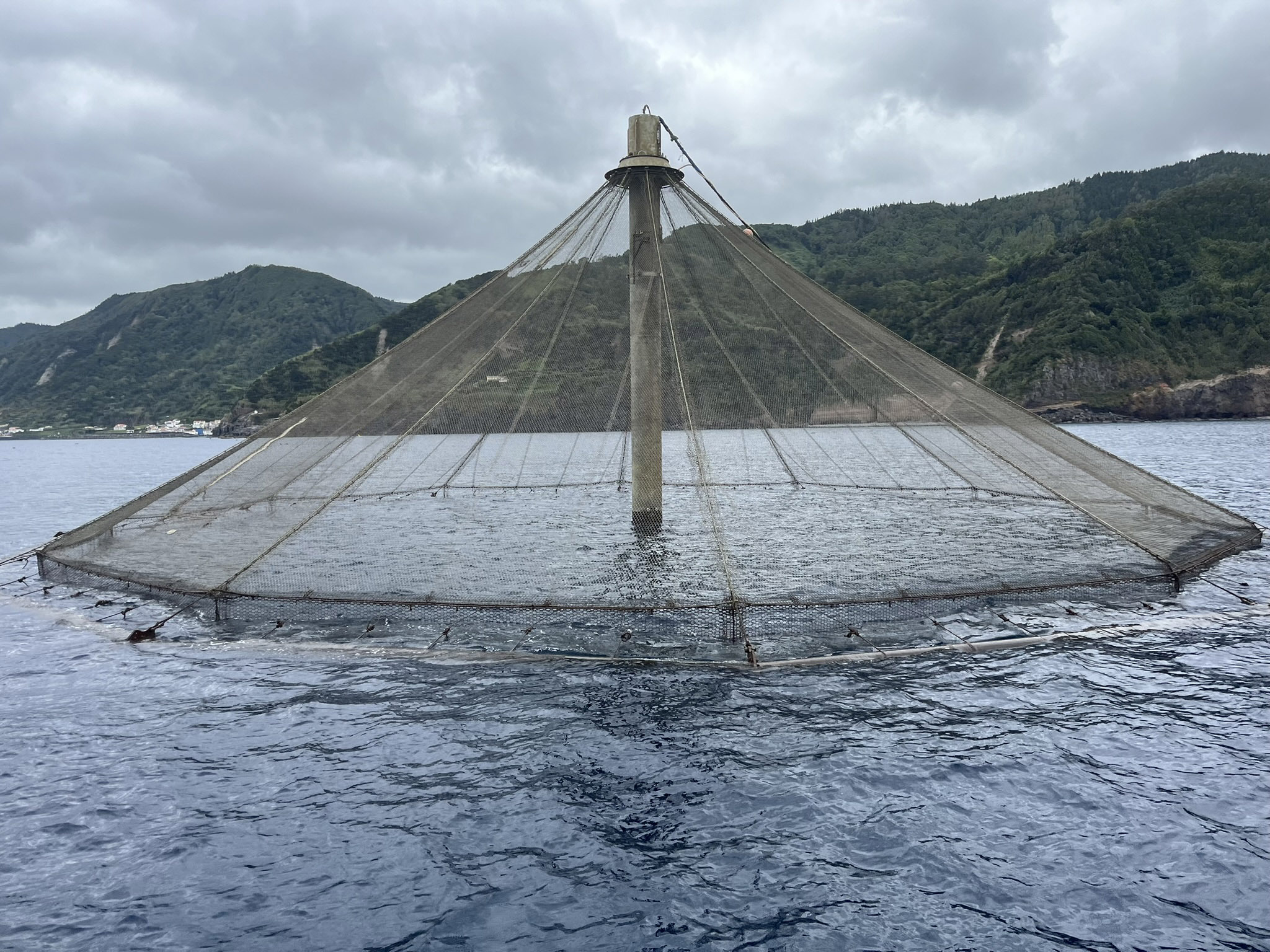 Total de 3,4 milhões de euros para apoio aos investimentos para o desenvolvimento sustentável da aquicultura no domínio dos investimentos produtivos