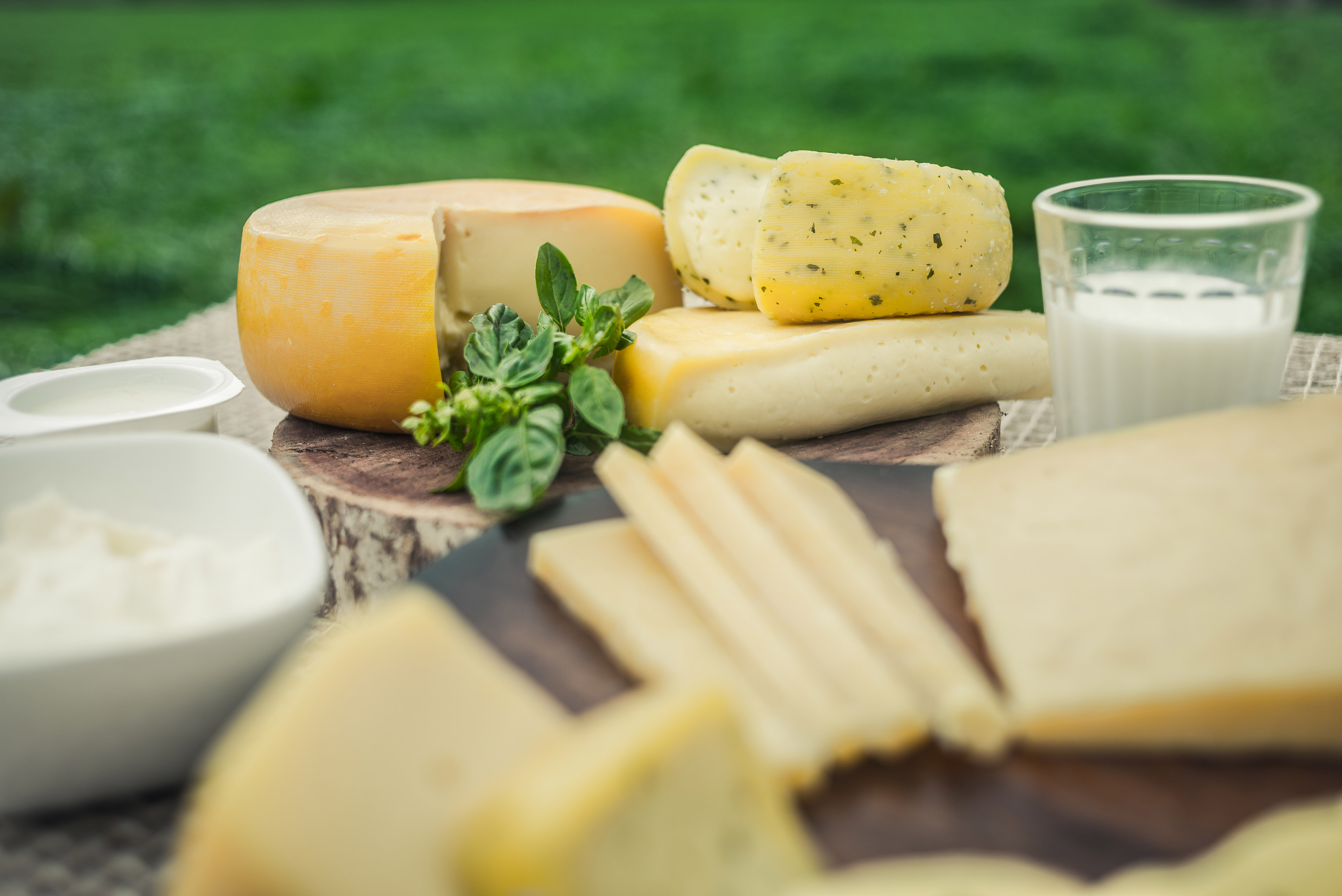 Açores marcam presença na 36ª edição do World Cheese Awards