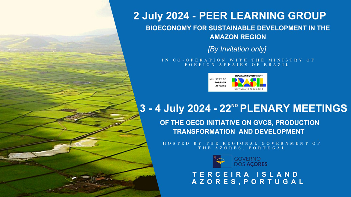 Terceira Island hosts 22nd OECD Plenary Session