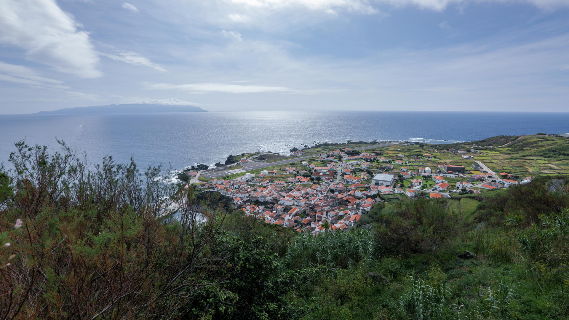 Paisagem Flores e Corvo